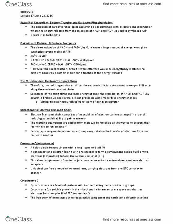 BIOC 2580 Lecture Notes - Lecture 17: Atp Synthase, Charn, Rings Of Saturn thumbnail