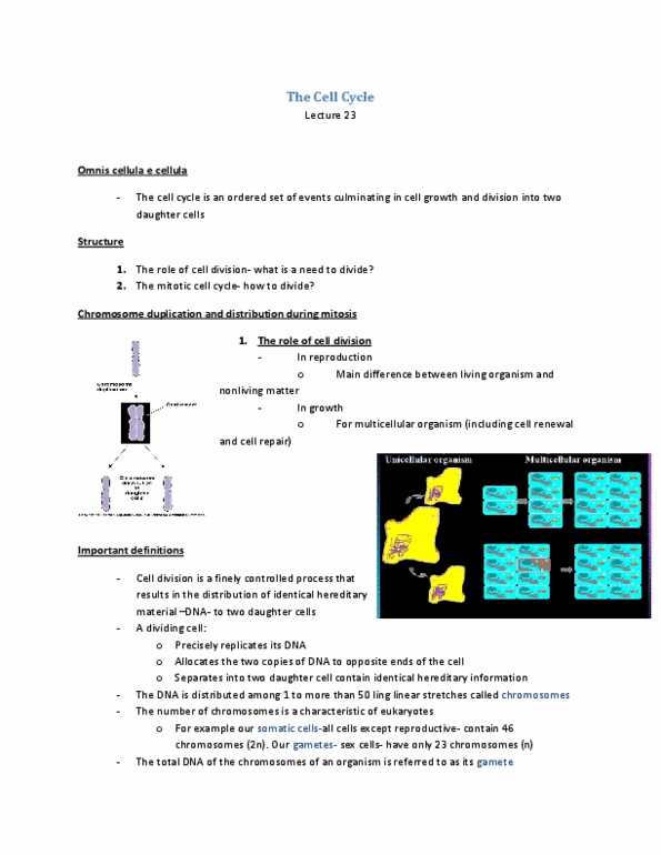 BIOL 1010 Lecture Notes - Cytokinesis, Interphase, Chromatin thumbnail