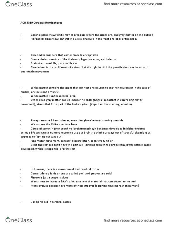 Anatomy and Cell Biology 3319 Lecture Notes - Lecture 5: Cerebrum, Brodmann Area, Primary Motor Cortex thumbnail