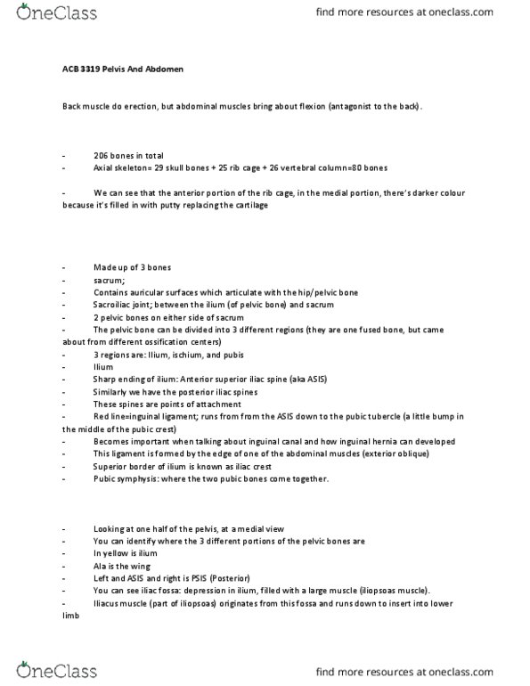 Anatomy and Cell Biology 3319 Lecture Notes - Lecture 7: Pelvic Cavity, Transverse Abdominal Muscle, Defecation thumbnail