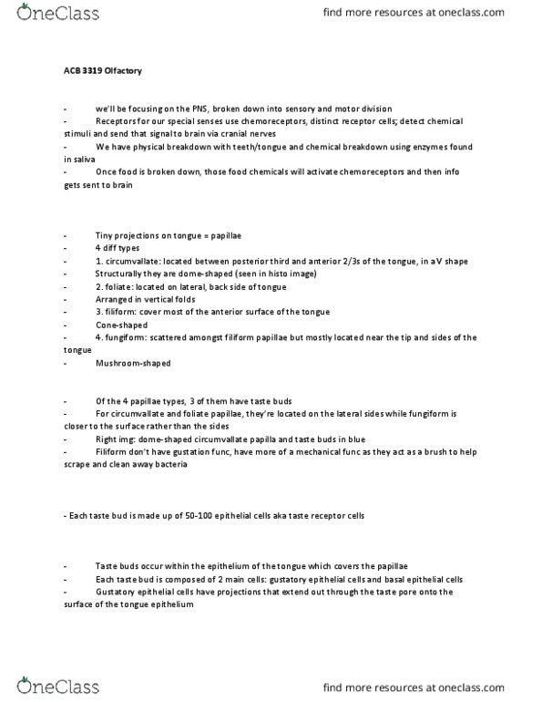 Anatomy and Cell Biology 3319 Lecture Notes - Lecture 2: Epiglottis, Frontal Lobe, Entorhinal Cortex thumbnail