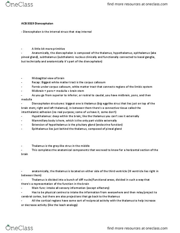 Anatomy and Cell Biology 3319 Lecture Notes - Lecture 7: Circadian Rhythm, Interthalamic Adhesion, Lateral Geniculate Nucleus thumbnail