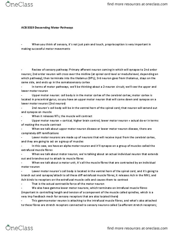 Anatomy and Cell Biology 3319 Lecture Notes - Lecture 11: Withdrawal Reflex, Grey Matter, Vestibulospinal Tract thumbnail