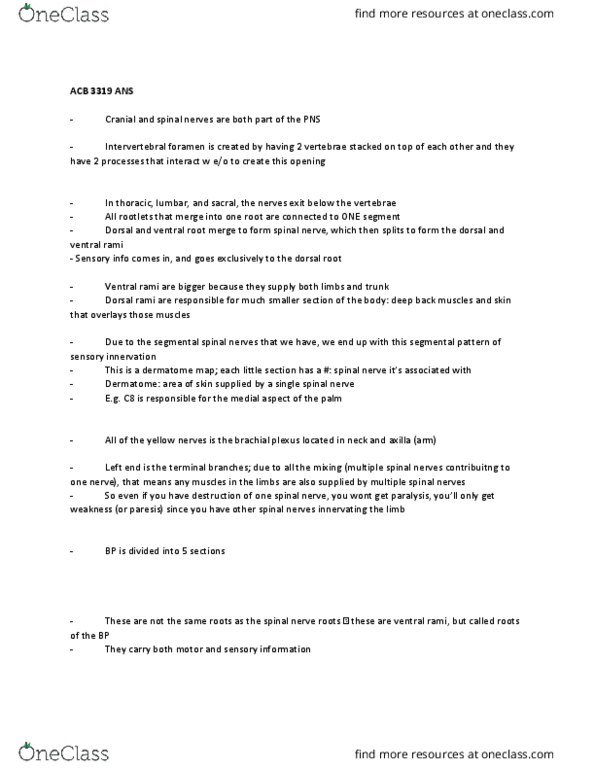 Anatomy and Cell Biology 3319 Lecture Notes - Lecture 3: Axillary Nerve, Musculocutaneous Nerve, Ulnar Nerve thumbnail