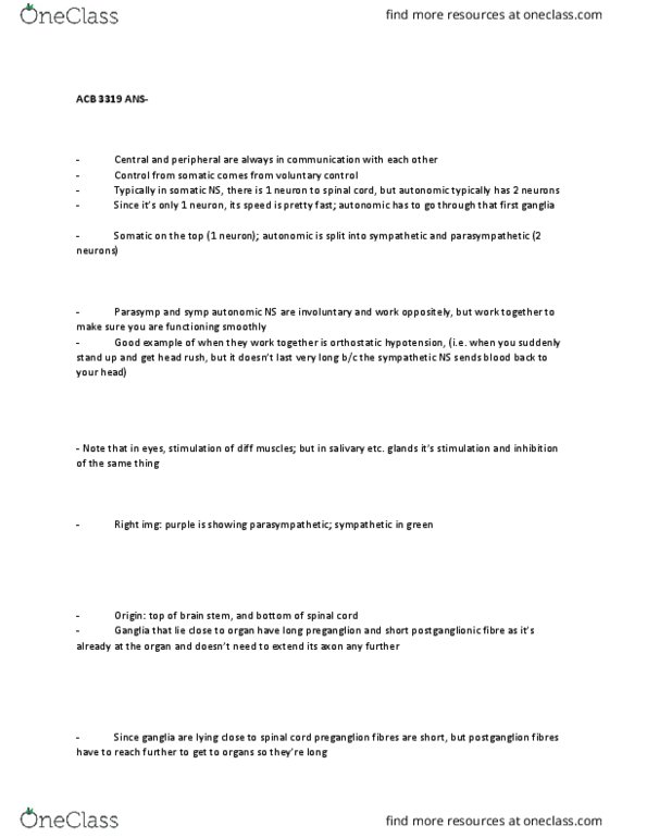 Anatomy and Cell Biology 3319 Lecture Notes - Lecture 4: Oculomotor Nerve, Parotid Gland, Cranial Nerves thumbnail