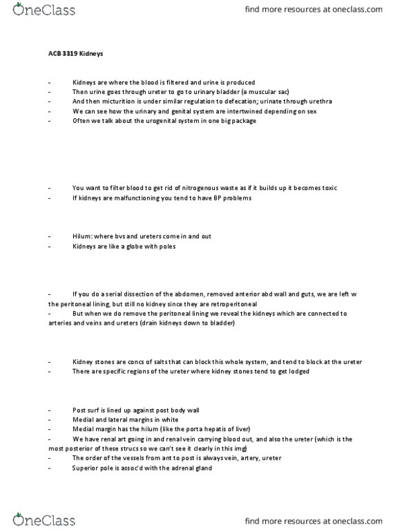 Anatomy and Cell Biology 3319 Lecture Notes - Lecture 7: Shock Absorber, Renal Fascia, Descending Colon thumbnail