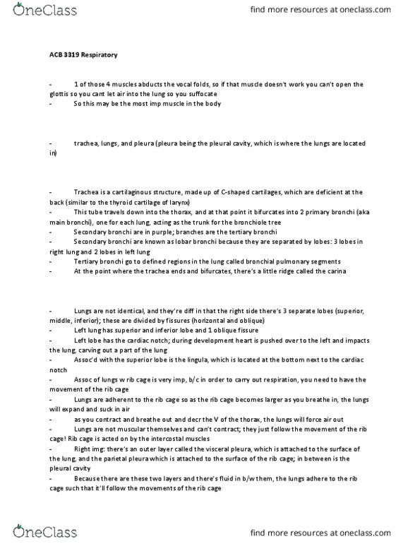 Anatomy and Cell Biology 3319 Lecture 3: ACB 3319 Respiratory thumbnail