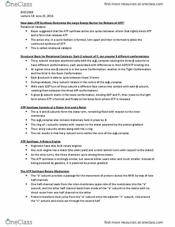 BIOC 2580 Lecture Notes - Lecture 18: Atp Synthase, Chemiosmosis, Protonation thumbnail