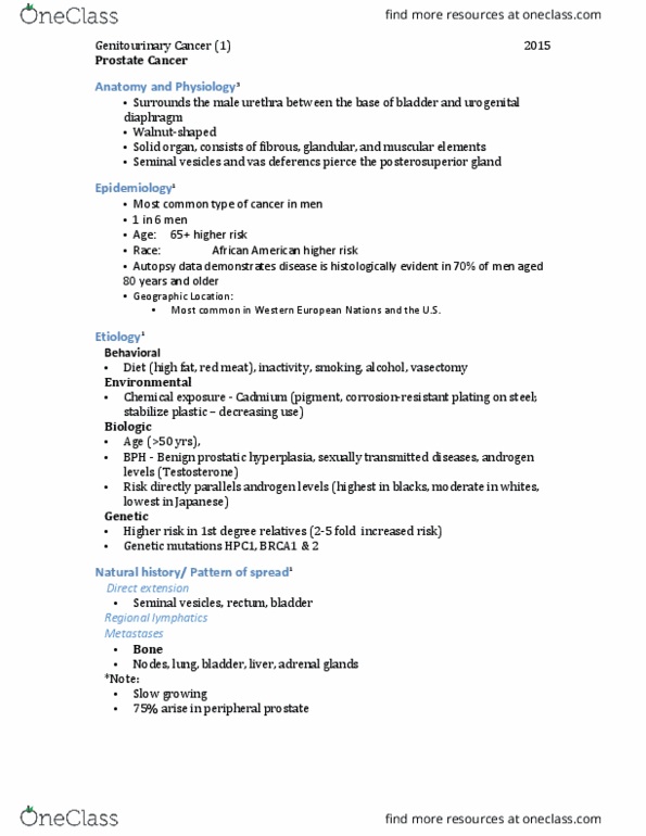 MEDRADSC 2S03 Lecture Notes - Lecture 9: Benign Prostatic Hyperplasia, Gleason Grading System, Sexually Transmitted Infection thumbnail