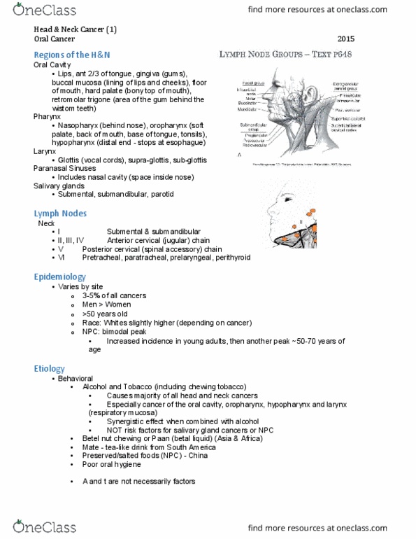 MEDRADSC 2S03 Lecture Notes - Lecture 5: Oral Mucosa, Salivary Gland, Lymph Node thumbnail