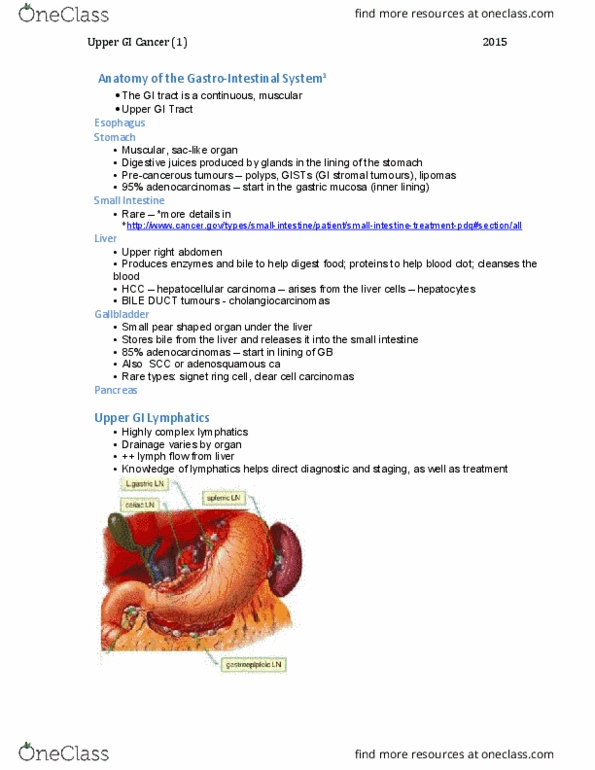 MEDRADSC 2S03 Lecture Notes - Lecture 2: Esophagus, Stratified Squamous Epithelium, Signet Ring Cell thumbnail