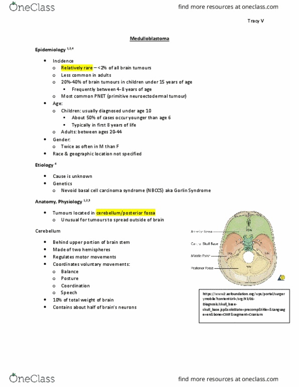 MEDRADSC 2T03 Lecture Notes - Lecture 29: Nevoid Basal-Cell Carcinoma Syndrome, Brain Tumor, Medulloblastoma thumbnail