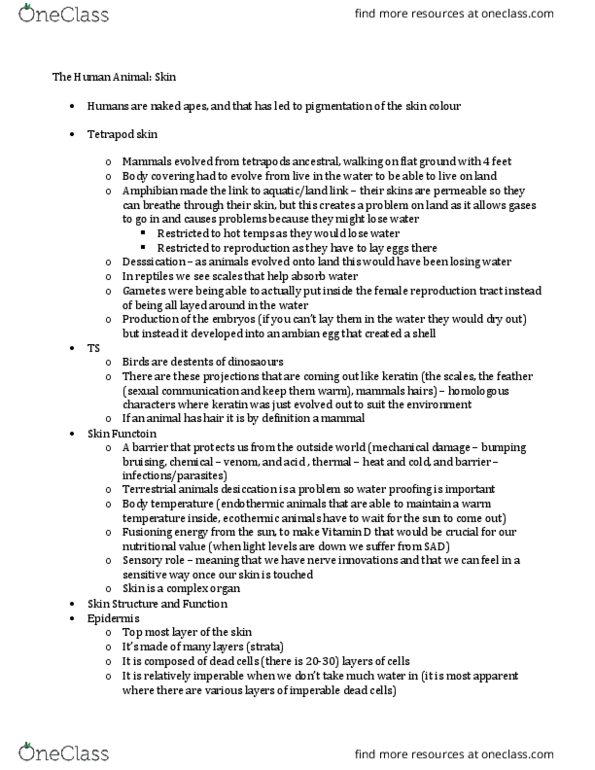 BIO 1300 Lecture Notes - Lecture 5: Keratin, Microfilament, Blood Transfusion thumbnail