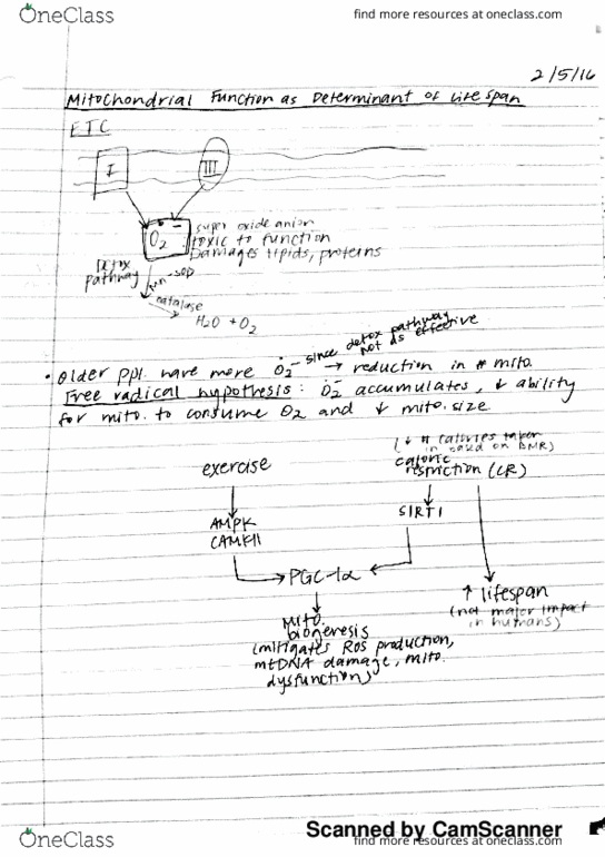 BIO SCI E183 Lecture 11: 11 thumbnail