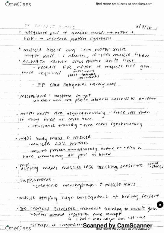 BIO SCI E183 Lecture Notes - Lecture 21: Motor Unit, Biome, Egg Cell thumbnail