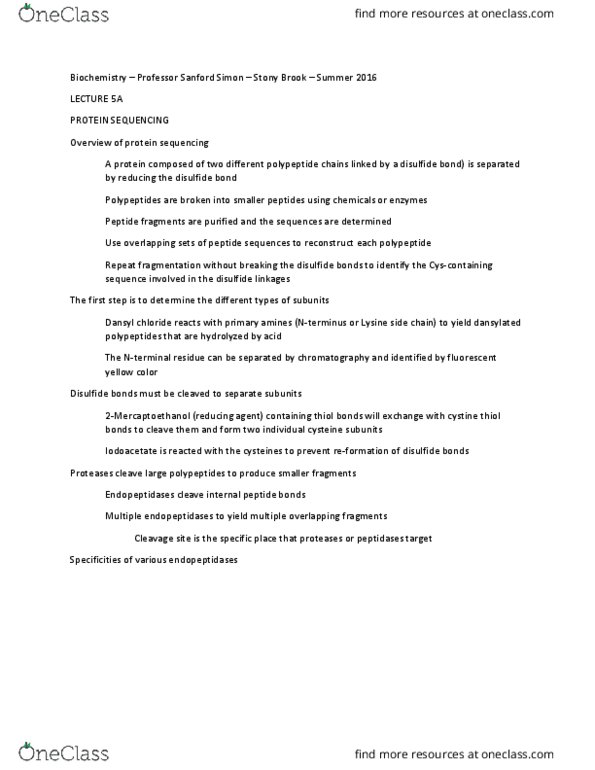 BIO 361 Lecture Notes - Lecture 5: Disulfide, Protein Sequencing, Cystine thumbnail