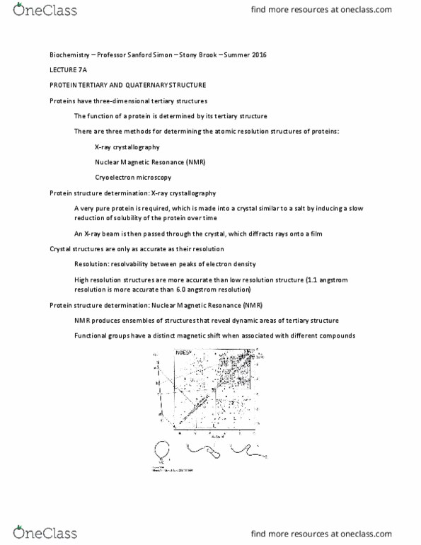 BIO 361 Lecture Notes - Lecture 7: X-Ray Crystallography, Protein Structure, Diffraction thumbnail