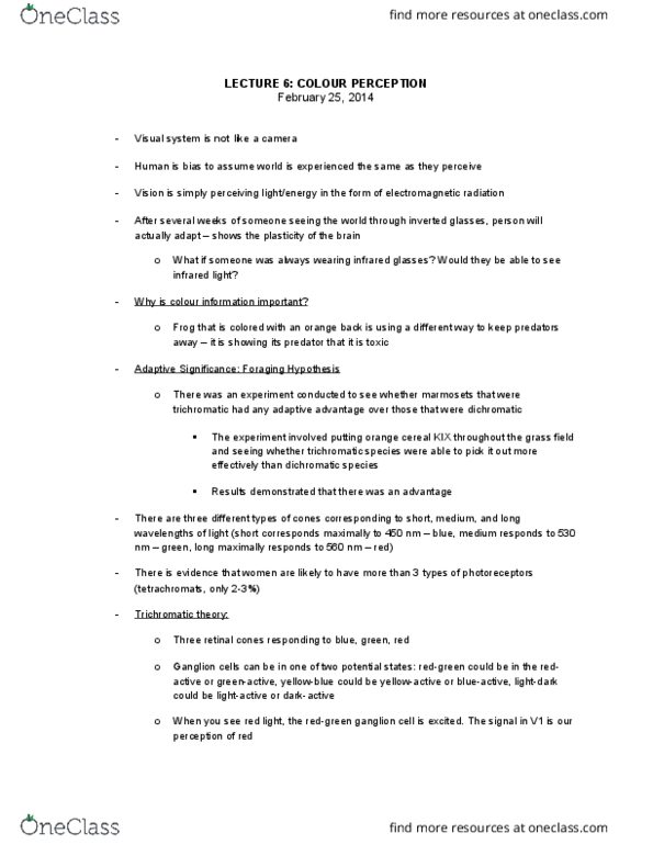 PSYCH 1XX3 Chapter Notes - Chapter 6: Tetrachromacy thumbnail