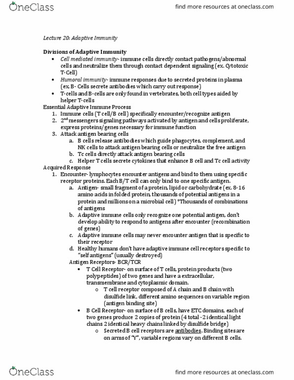 BIO 203 Lecture Notes - Lecture 20: B-Cell Receptor, T-Cell Receptor, T Helper Cell thumbnail