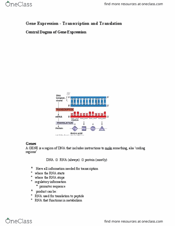 BSCI 105 Lecture 7: Gene Expression thumbnail