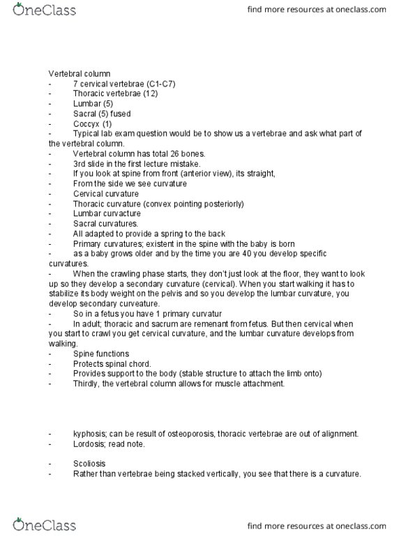 Anatomy and Cell Biology 3319 Lecture Notes - Lecture 3: Cervical Vertebrae, Thoracic Vertebrae, Scoliosis thumbnail