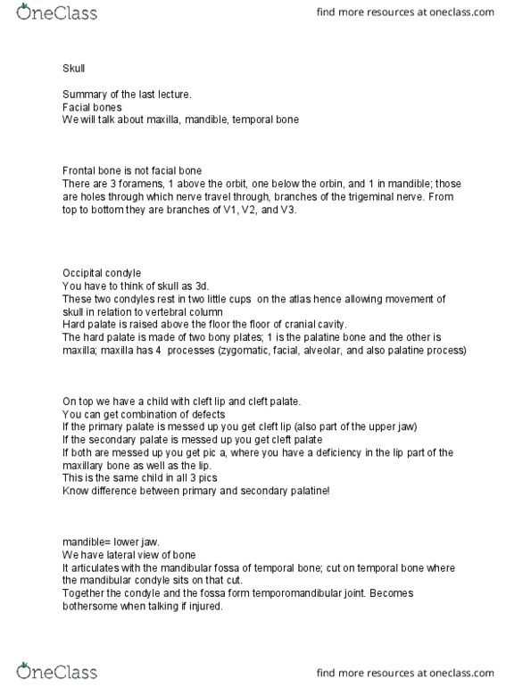 Anatomy and Cell Biology 3319 Lecture Notes - Lecture 5: Condyloid Process, Mandibular Foramen, Cleft Lip And Cleft Palate thumbnail