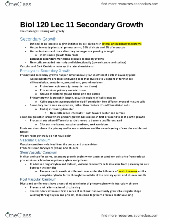 BIOL120 Lecture Notes - Lecture 11: Dendrochronology, Suberin, Pericycle thumbnail