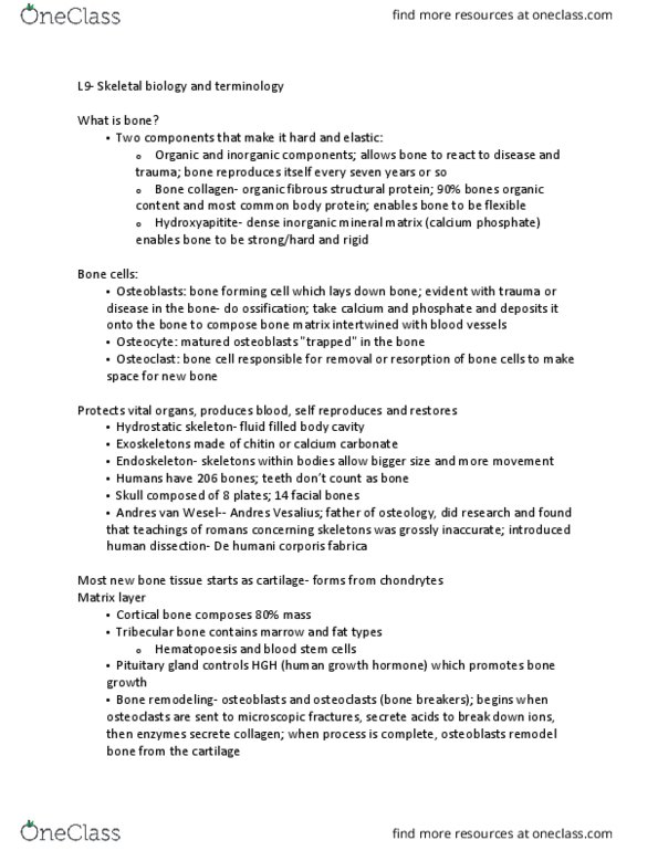 ANT 3520 Lecture Notes - Lecture 9: Coronal Plane, Sagittal Plane, Transverse Plane thumbnail