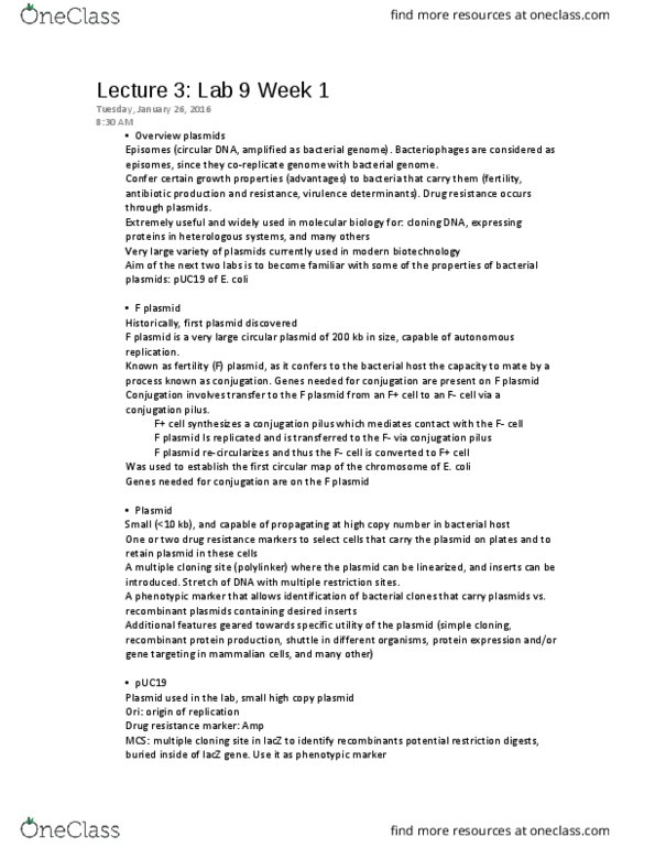 BIOC 300D2 Lecture Notes - Lecture 4: Agarose, Agarose Gel Electrophoresis, Escherichia Coli thumbnail