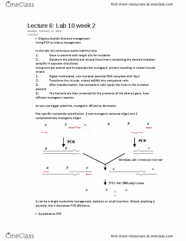 BIOC 300D2 Lecture Notes - Lecture 7: Gc-Content, Umber, Inflection Point thumbnail