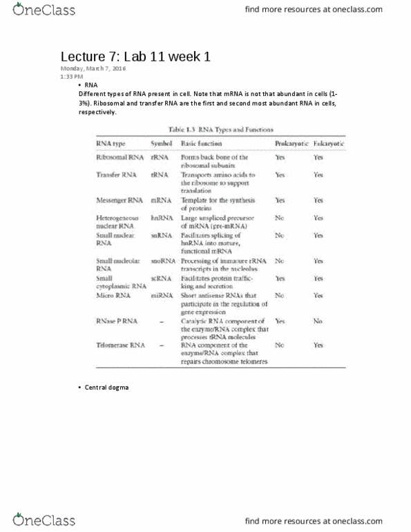 BIOC 300D2 Lecture Notes - Lecture 8: Chemotherapy, Coding Region, Provirus thumbnail