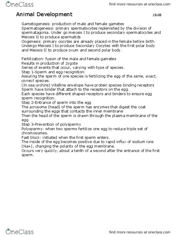 NSCI 1403 Lecture Notes - Lecture 1: Archenteron, G1 Phase, Mitosis thumbnail