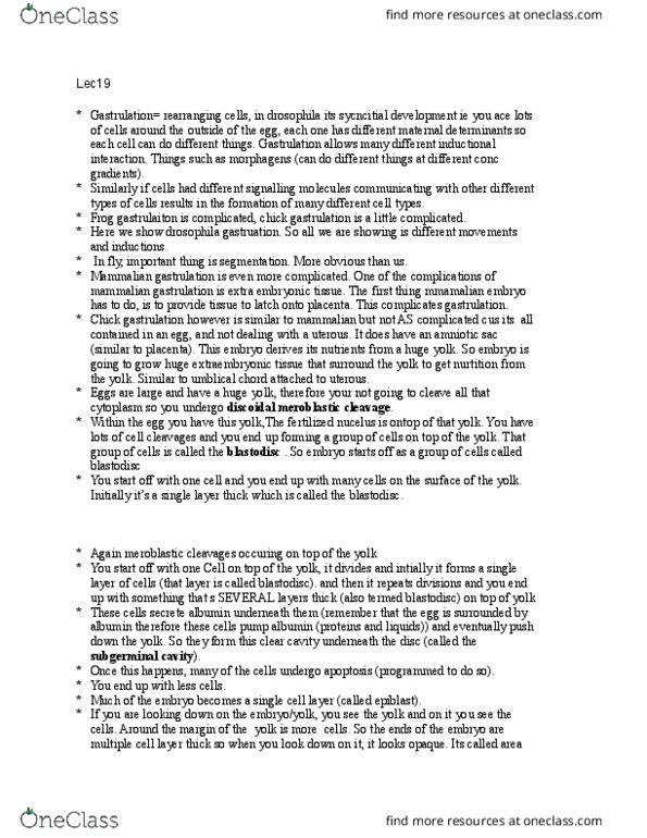 Biology 3338A Lecture Notes - Lecture 19: Epitope, Hypoblast, Primitive Streak thumbnail