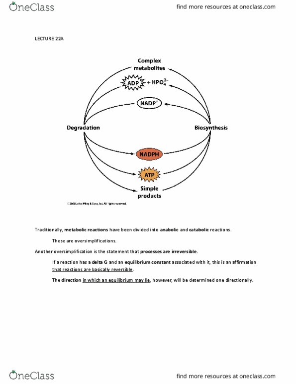 BIO 361 Lecture Notes - Lecture 22: Adenine, Blood Sugar, Nicotinamide Adenine Dinucleotide Phosphate thumbnail