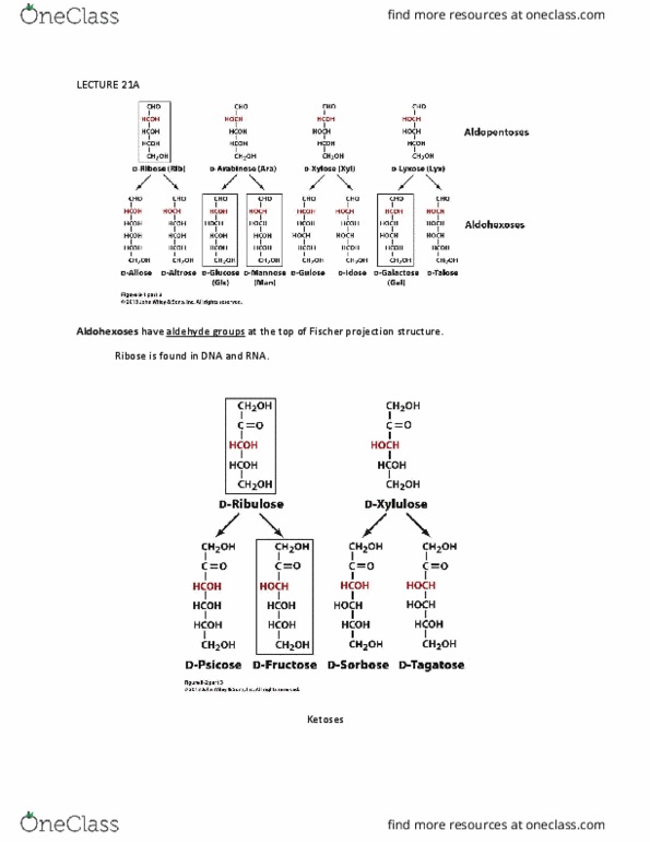 BIO 361 Lecture Notes - Lecture 21: Lysozyme, Tetrapeptide, Cell Membrane thumbnail