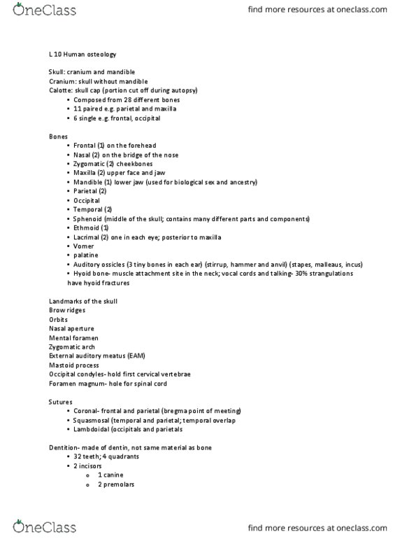 ANT 3520 Lecture Notes - Lecture 10: Epiphysis, Cervical Vertebrae, Long Bone thumbnail