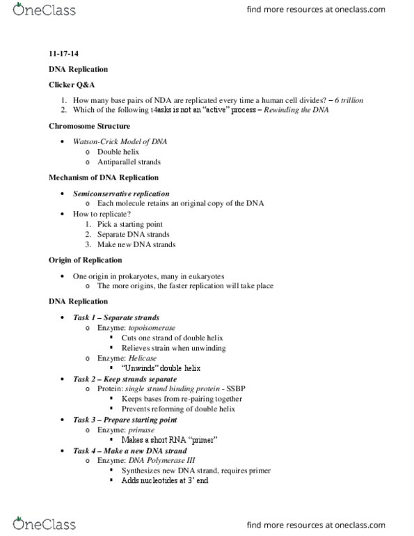 BSCI 105 Lecture Notes - Lecture 14: Heteroduplex, Telomere, Dna Replication thumbnail