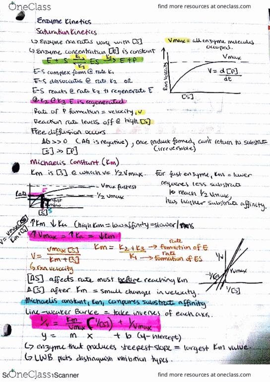 MCDB 310 Lecture Notes - Lecture 6: Lurg, Enzyme thumbnail