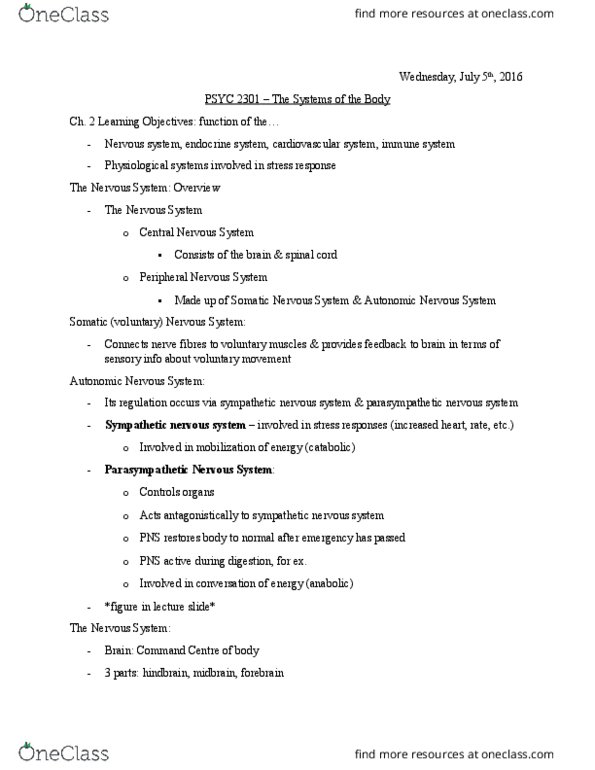 PSYC 2301 Lecture Notes - Lecture 2: Autonomic Nervous System, Diencephalon, Posterior Pituitary thumbnail
