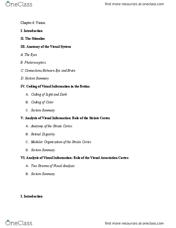 01:830:313 Chapter Notes - Chapter Ch. 6 : Ganglion Cell, Calcarine Sulcus, Electromagnetic Radiation thumbnail