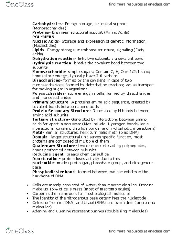 BIOL 1105 Lecture Notes - Lecture 2: Helix-Turn-Helix, Covalent Bond, Phosphodiester Bond thumbnail