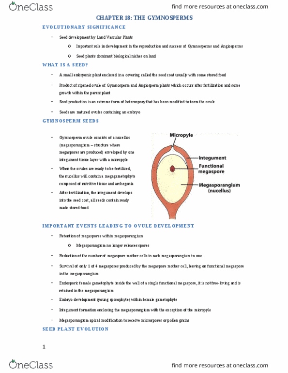 BIOL 2P93 Lecture Notes - Lecture 4: Cork Cambium, Vascular Cambium, Conifer Cone thumbnail