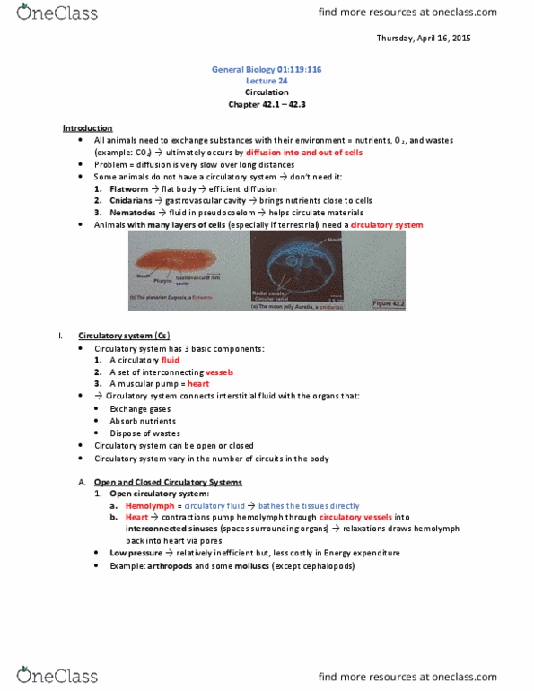 01:119:115 Lecture 24: Biology- Lecture 24 (Circulation - Chapter 42.1 - 42.3) thumbnail