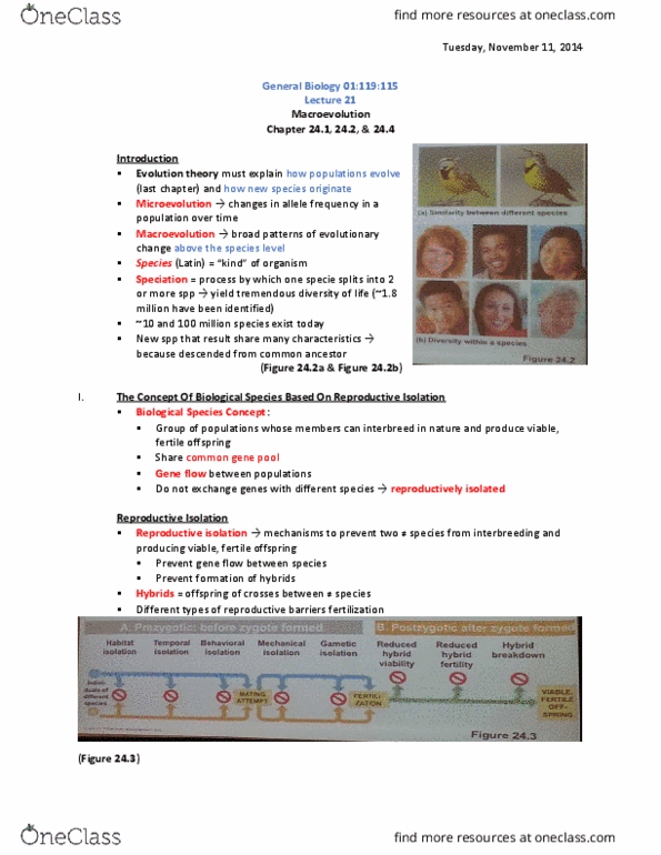 01:119:115 Lecture Notes - Lecture 21: Species Problem, Allopatric Speciation, Species thumbnail