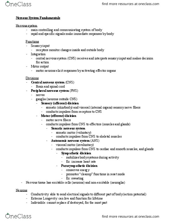 APK 2100C Lecture Notes - Lecture 9: Central Nervous System, Somatic Nervous System, Autonomic Nervous System thumbnail