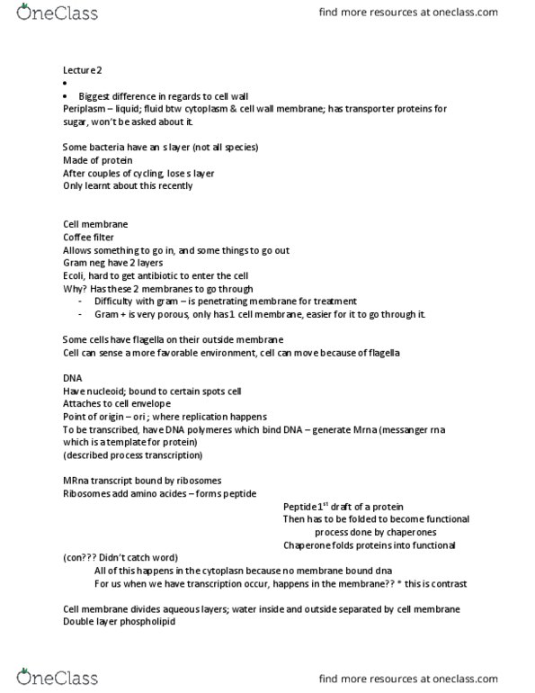 BIOL3149 Lecture Notes - Lecture 2: Coffee Filter, Cell Envelope, Cell Membrane thumbnail