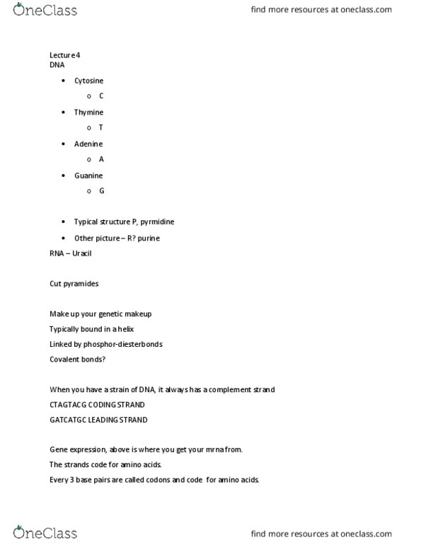 BIOL3149 Lecture Notes - Lecture 4: Uracil, Purine, Cytosine thumbnail