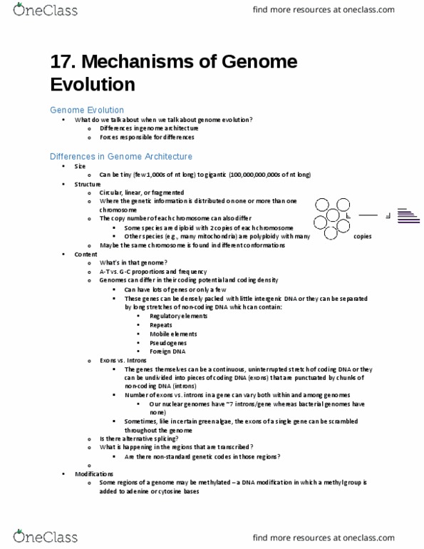 Biology 2581B Lecture Notes - Lecture 17: Naked Mole-Rat, Noncoding Dna, Genome Size thumbnail