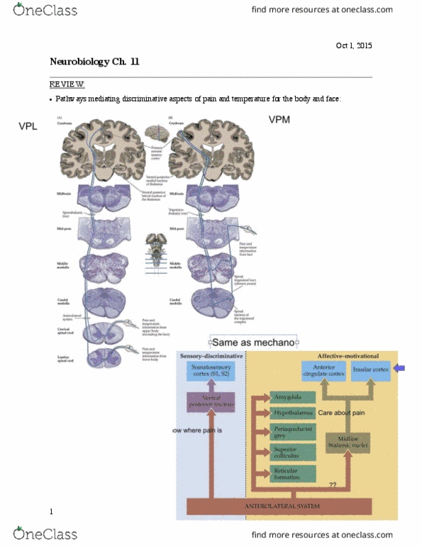 document preview image