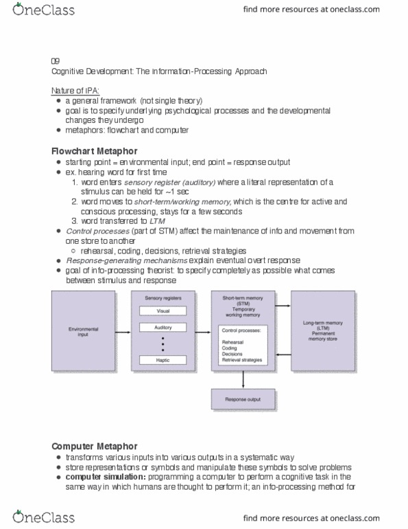 PSYC 351 Chapter Notes - Chapter 9: Recognition Memory, Autobiographical Memory, Dishabituation thumbnail